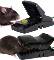Mouse Trap (2 pcs)